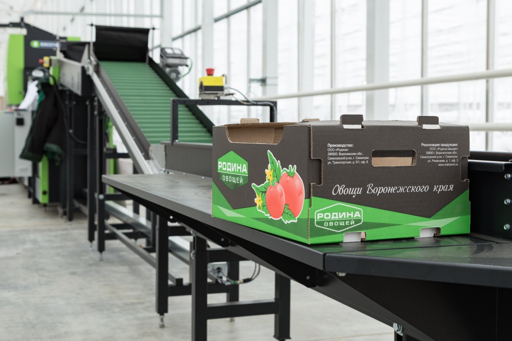 Тепличное хозяйство Родина.jpg